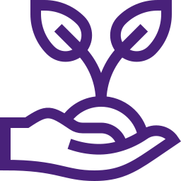 Description of Image